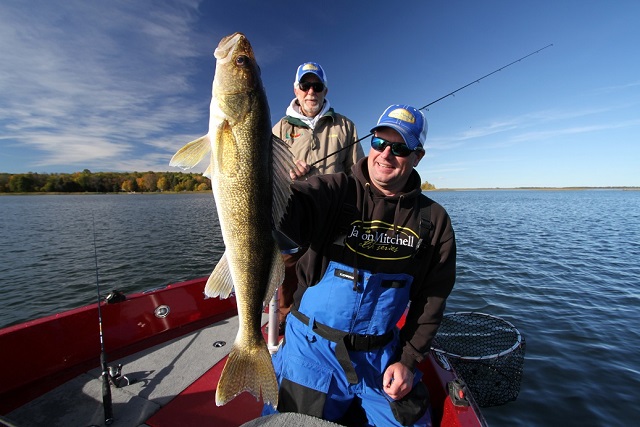 Jason Mitchell huge walleye on jig